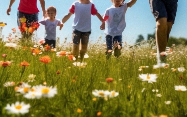 Программа анимации